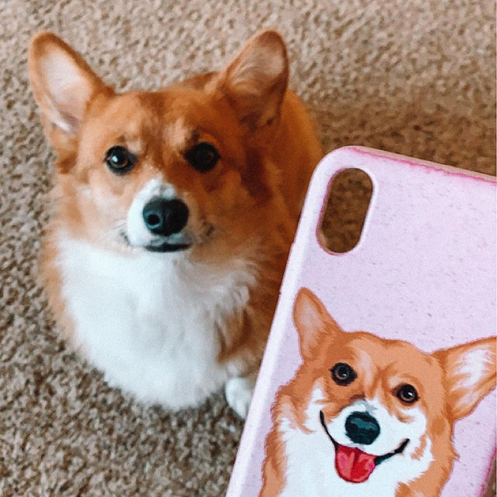 Eco-Friendly Pet custom phone case