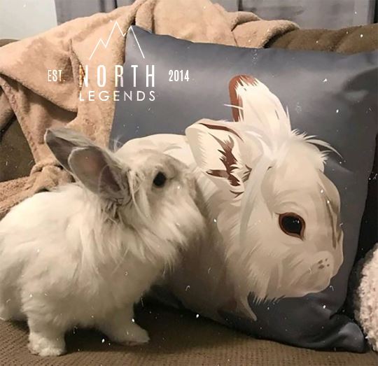 Custom Pet Pillow Home North Legends 