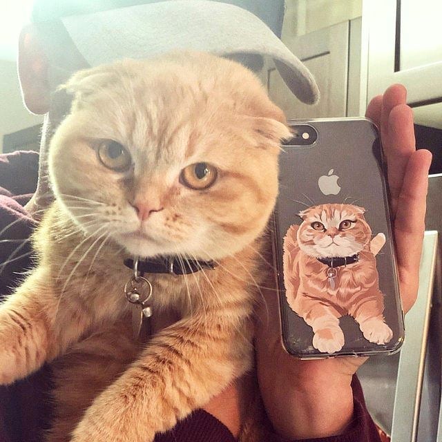 Custom Pet Phone Case