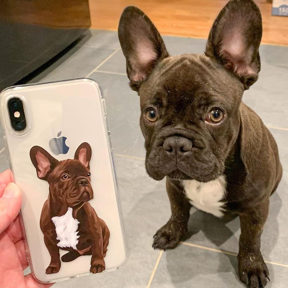 Custom Pet Phone Case