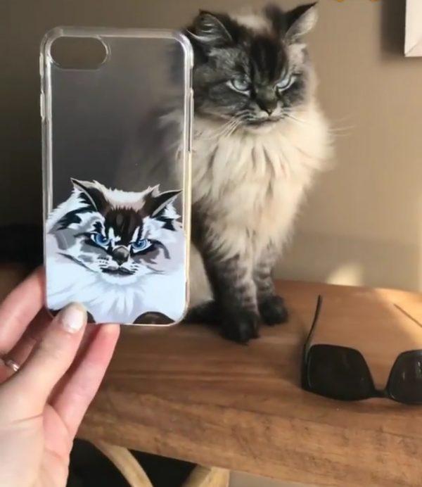 Custom cat phone case
